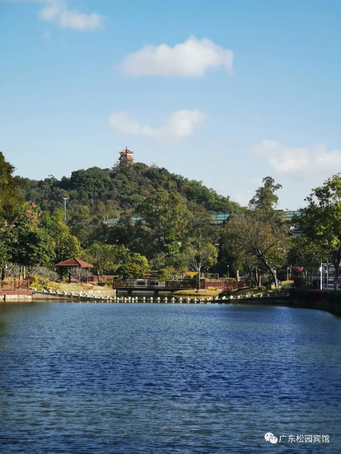 17159346972915183FWV.png 圖片 (1).png