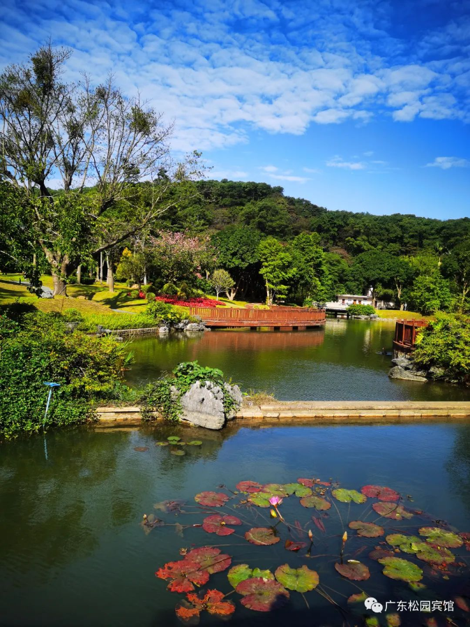 1715934706595299PIEg.png 圖片 (2).png